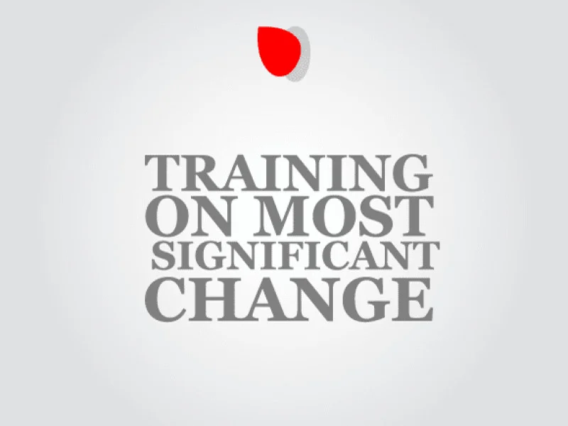 Training on Most Significant Change (MSC)